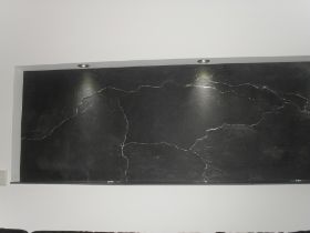 Februar 2011 042.jpg